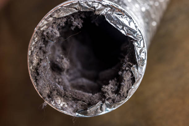 HVAC System Cleaning in LA